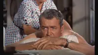 Backdrop to the movie "Rear Window" #430912
