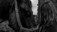 Backdrop to the movie "The Turin Horse" #874099