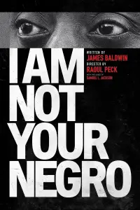 Poster to the movie "I Am Not Your Negro" #1107640