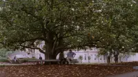 Backdrop to the movie "Scream 2" #741863