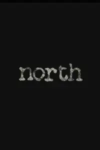 Poster to the movie "North" #714115
