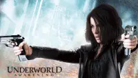 Backdrop to the movie "Underworld: Awakening" #961977