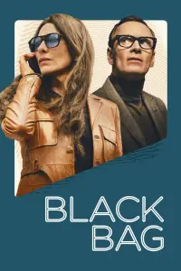 Poster to the movie "Black Bag" #903987