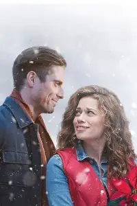 Poster to the movie "Poinsettias for Christmas" #880408