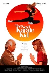 Poster to the movie "The Next Karate Kid" #934340