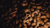 Backdrop to the movie "Queens of the Stone Age: Alive in the Catacombs" #791314