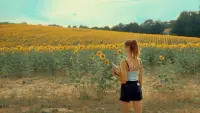 Backdrop to the movie "Se souvenir des tournesols" #767856