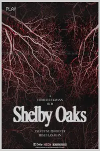 Poster to the movie "Shelby Oaks" #1118597