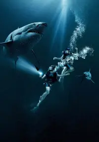 Poster to the movie "47 Meters Down" #691505