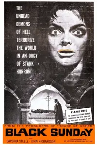 Poster to the movie "Black Sunday" #957641