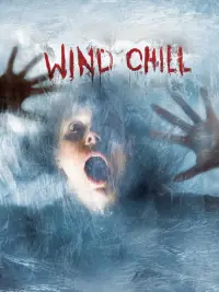 Poster to the movie "Wind Chill" #993314