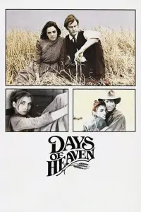 Poster to the movie "Days of Heaven" #969654