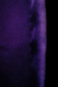 Poster to the movie "A Cortina" #793094