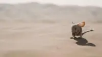 Backdrop to the movie "Dune: Part Two" #699307