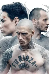Poster to the movie "Furioza" #1020728
