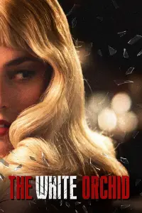 The White Orchid