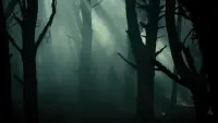 Backdrop to the movie "Evil Dead" #777826