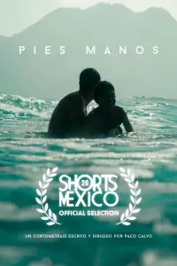 Poster to the movie "Pies, manos" #889651