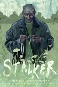 Poster to the movie "Stalker" #734156