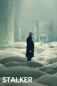 Poster to the movie "Stalker" #734138