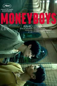 Poster to the movie "Moneyboys" #158585