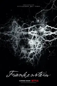 Poster to the movie "Frankenstein" #1003265