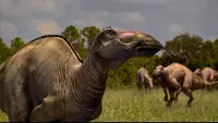Backdrop to the movie "When Dinosaurs Roamed America" #719923