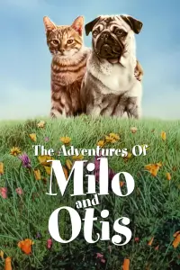 Poster to the movie "The Adventures of Milo and Otis" #1043938