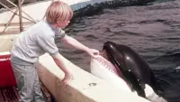 Backdrop to the movie "A Whale of a Tale" #896936