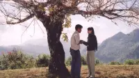 Backdrop to the movie "The Letter" #865858