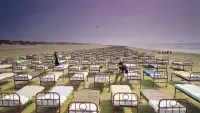 Backdrop to the movie "Rock Milestones: Pink Floyd: A Momentary Lapse of Reason" #1089717