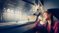 Backdrop to the movie "The Travelling Dog" #739005