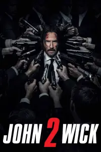 Poster to the movie "John Wick: Chapter 2" #912794