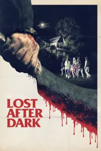 Poster to the movie "Lost After Dark" #1146676