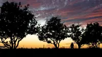Backdrop to the movie "Ese tú que se me escapa" #836967