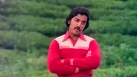 Backdrop to the movie "Kalyanaraman" #854852