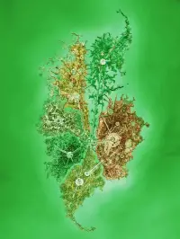 Poster to the movie "Bionicle 3: Web of Shadows" #895958