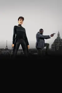 Poster to the movie "The Killer" #608247