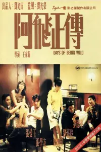 Poster to the movie "Days of Being Wild" #726457