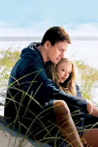 Poster to the movie "Dear John" #714362