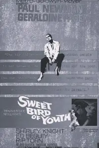 Poster to the movie "Sweet Bird of Youth" #963693
