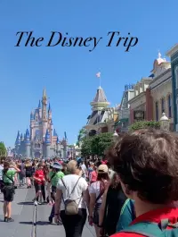 The Disney Trip