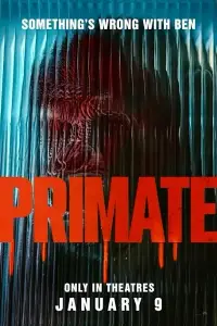 Poster to the movie "Primate" #510170