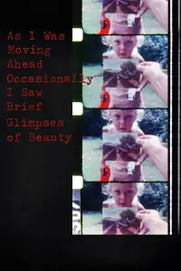 Poster to the movie "As I Was Moving Ahead, Occasionally I Saw Brief Glimpses of Beauty" #993356