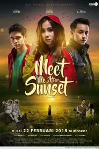 Poster to the movie "Meet Me After Sunset" #1205229