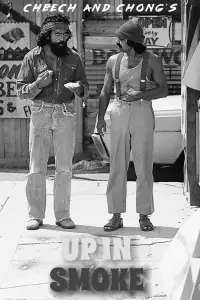 Poster to the movie "Up in Smoke" #879636