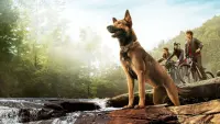Backdrop to the movie "Max" #769627