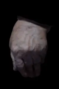 Poster to the movie "The Shell" #367209