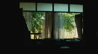 Backdrop to the movie "Uncle Boonmee Who Can Recall His Past Lives" #779340
