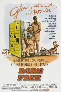 Poster to the movie "Born Free" #987617